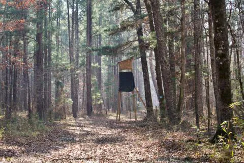 Sigo Tract — Hampton, South Carolina