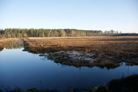 Slater Duck Ponds — Jasper, South Carolina