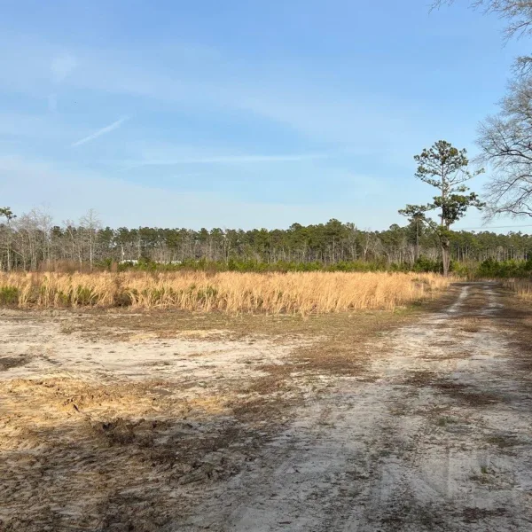 Little Haven Farm — photo 3