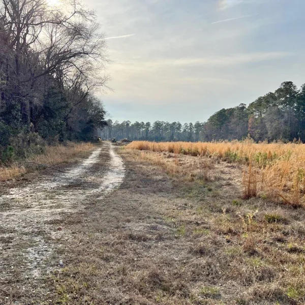 Little Haven Farm — photo 5
