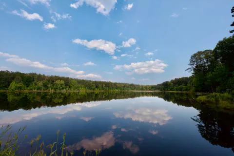 Goldmine Plantation — Kershaw, South Carolina