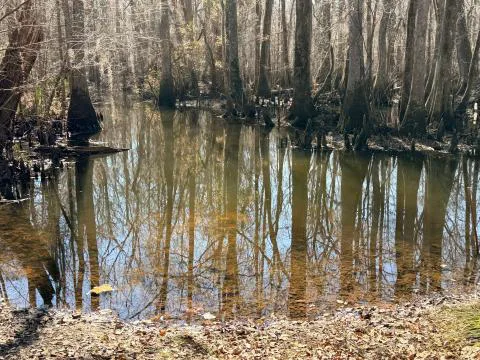 Brier Creek Tract — Screven, Georgia