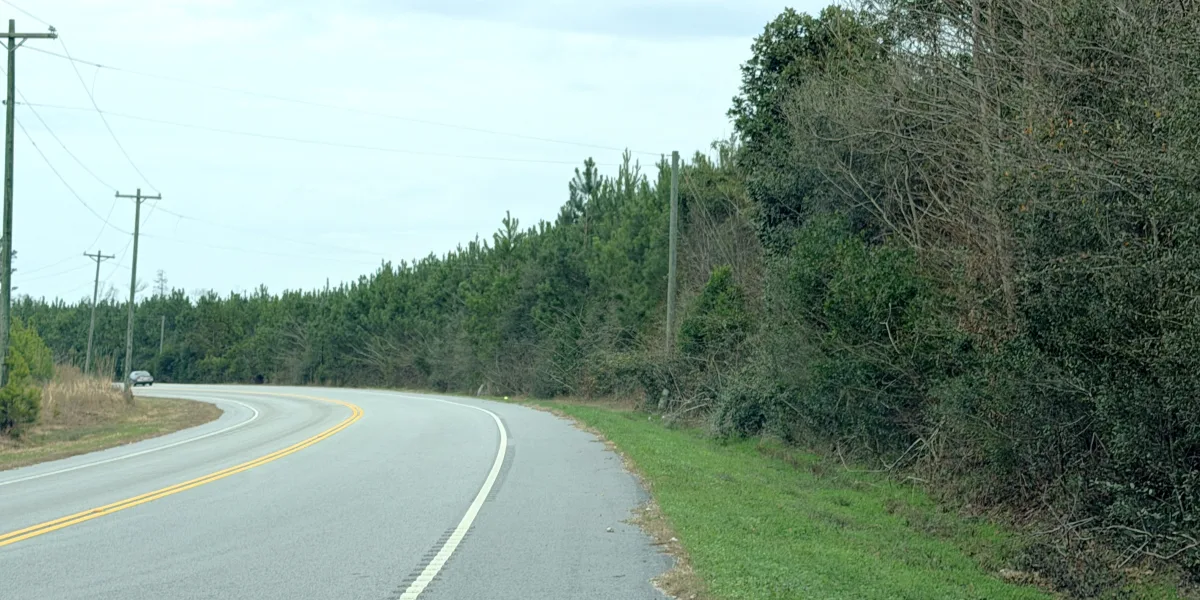Crocketville 70 Acres — Hampton, South Carolina
