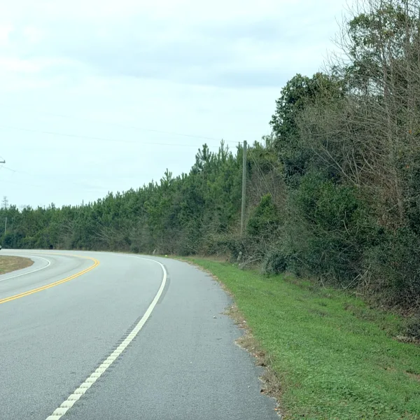 Crocketville 70 Acres — Hampton, South Carolina