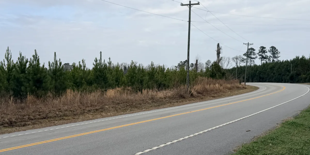 Crocketville 47 Acres — Hampton, South Carolina