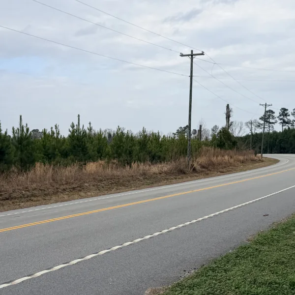 Crocketville 47 Acres — Hampton, South Carolina