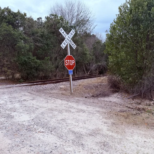 Crocketville 70 Acres — photo 4