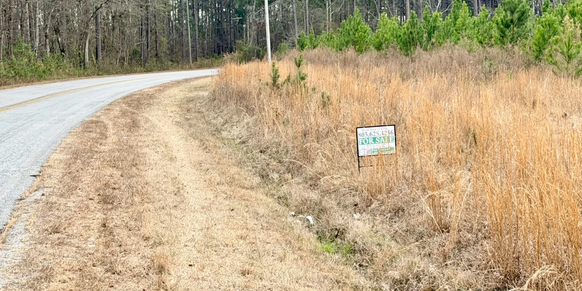 Crocketville 18 Acres — Hampton, South Carolina