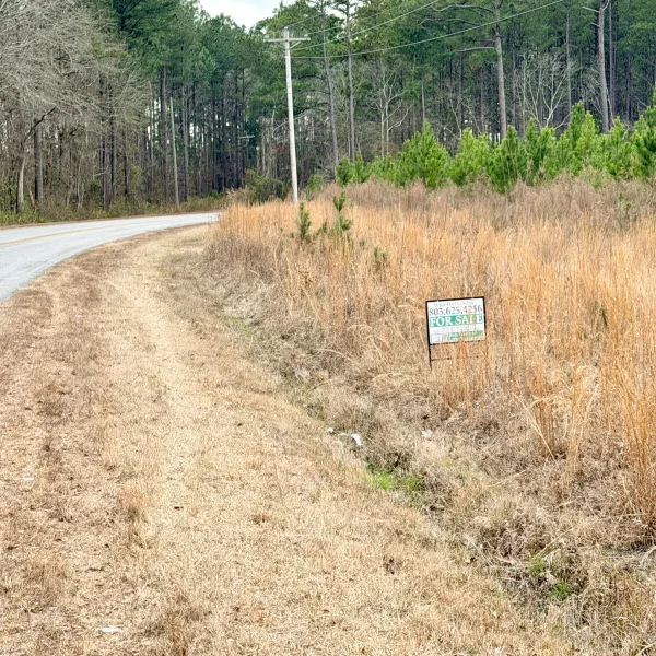 Crocketville 18 Acres — Hampton, South Carolina