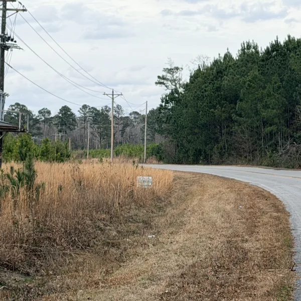 Crocketville 18 Acres — photo 4