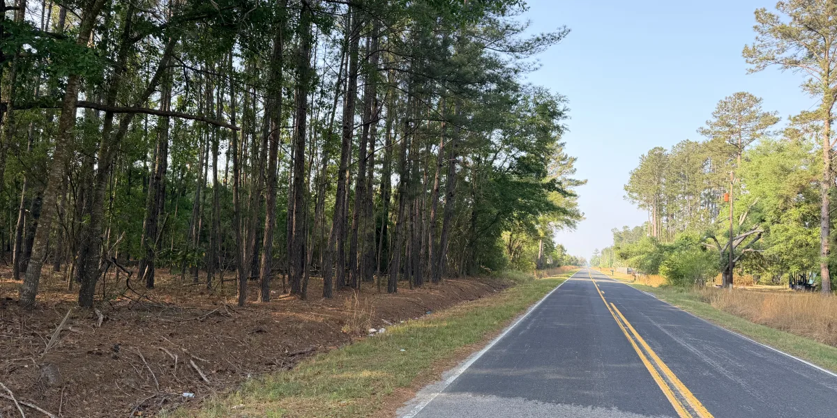 Jasmin Hollow — Jasper, South Carolina