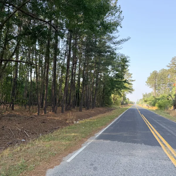 Jasmin Hollow — Jasper, South Carolina