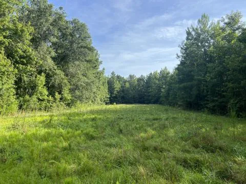 Garnett Tract — Hampton, South Carolina