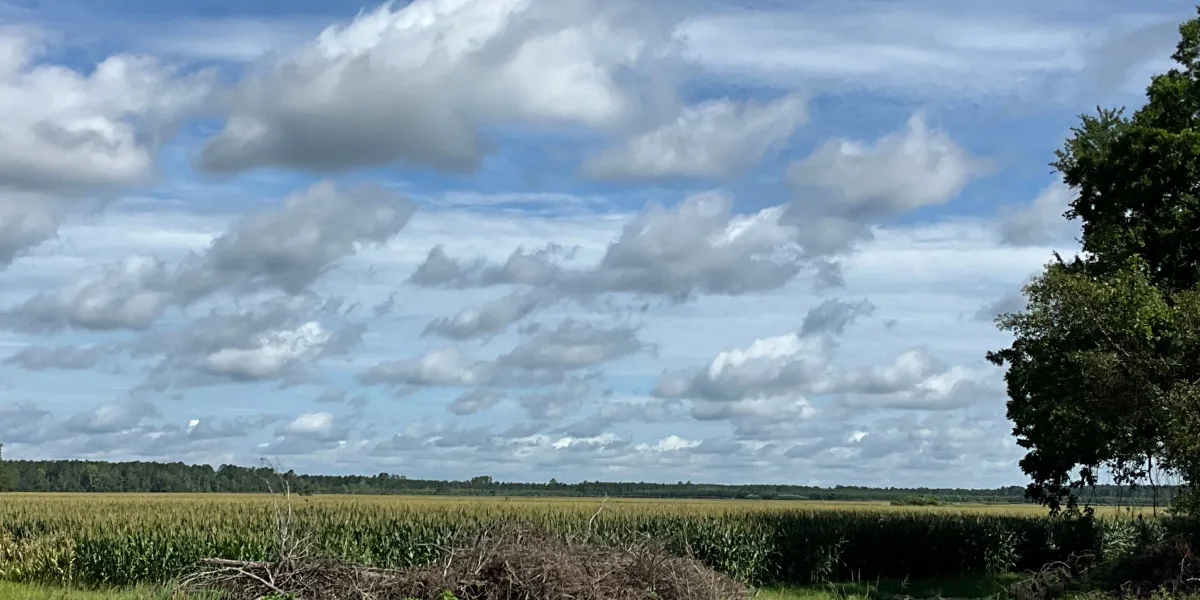 Longpoint Farm — Hampton, South Carolina