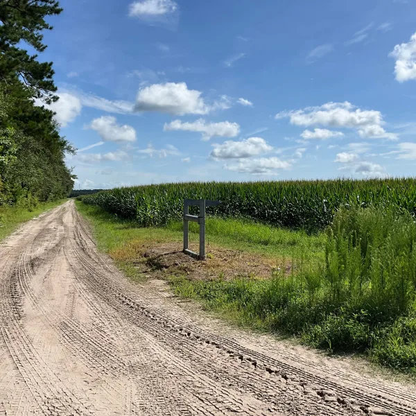 Longpoint Farm — photo 2