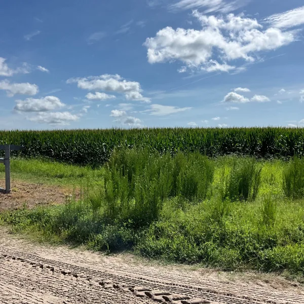 Longpoint Farm — photo 3