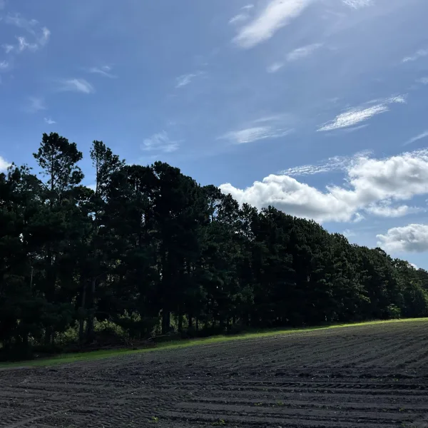 Longpoint Farm — photo 5