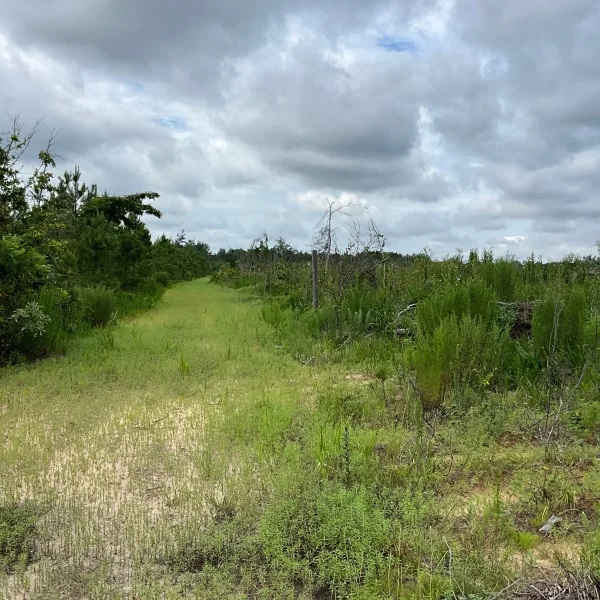 Buck Road Farm — photo 3