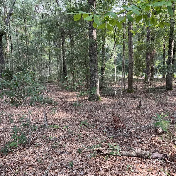 Parker Tract — photo 2