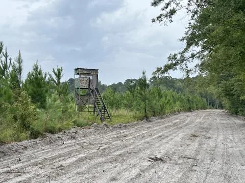 Burnette Tract — Jasper, South Carolina