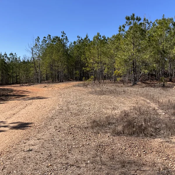 McLin Tract — photo 2