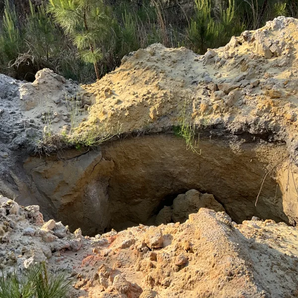 Jasmin Hollow — photo 5