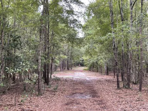Jay Price Life Estate — Allendale, South Carolina