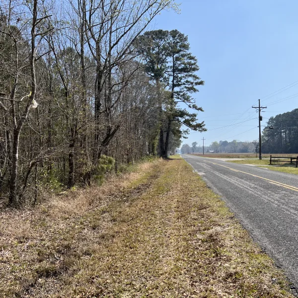 Slater Tract — 10± acres in Hampton, South Carolina
