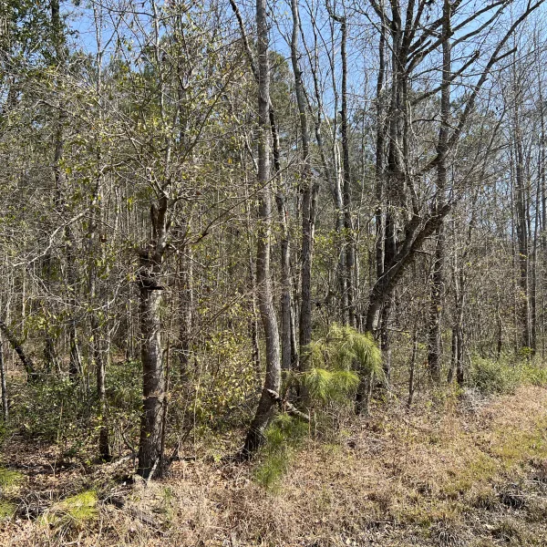 Slater Tract — photo 2