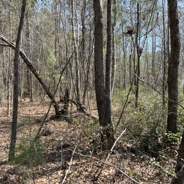 Slater Tract — photo 4