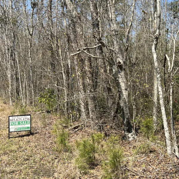 Slater Tract — photo 5