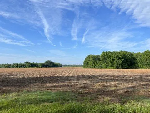 Lebanon Tract — Hampton, South Carolina