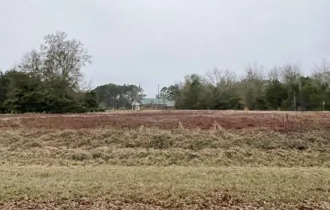 Trowell Fairfax Lot — Allendale, South Carolina
