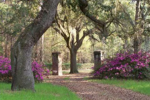 Pleasant Hill Plantation — Hampton, South Carolina