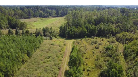 Quail Hollow — Hampton & Jasper Counties, South Carolina