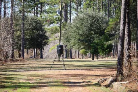 Richard Smith Tract — Jasper, South Carolina