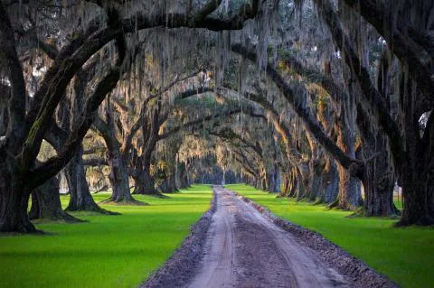 Tomotley Plantation — Beaufort, South Carolina