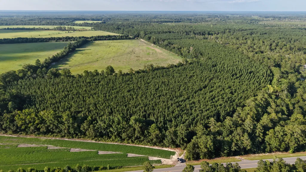 Salkehatchie Bottoms Lease — photo 3