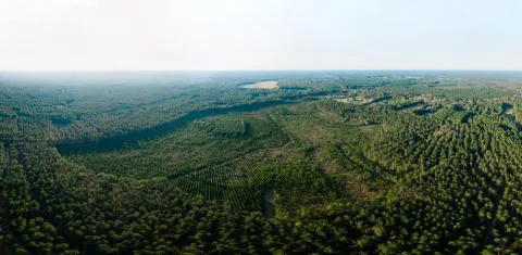 Loblolly Farm — Jasper, South Carolina