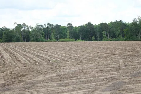Radeker Tract — Orangeburg, South Carolina