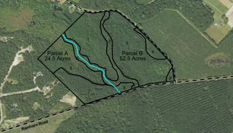 Ramhorn Tract — Hampton, South Carolina